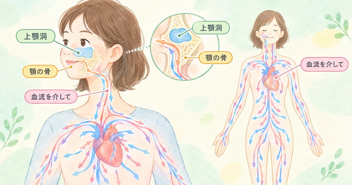 口の中にとどまらず全身へ及ぶとされる影響